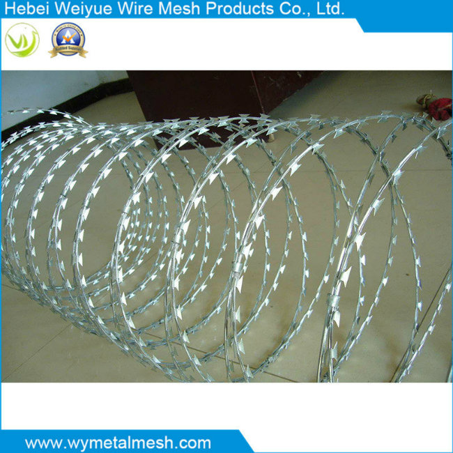 Electro Galvanized Razor Barbed Steel Wire