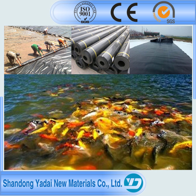 0.1-2mm Smooth Geomembrane HDPE LDPE LLDPE Ecb PVC EVA Pond Liner