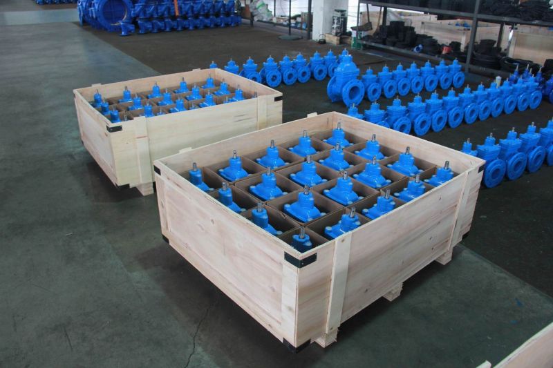DIN3352 F4 Ductile Iron Resilient Seated Gate Valve