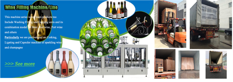 CSD (Carbonated Soft Drink) Plastic Bottle Filling Machine Labeling Machine