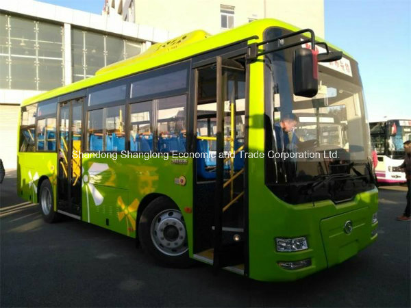 China Diesel Engine 12m 45-60 Seats City Bus