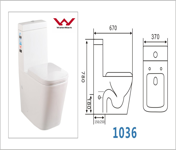 One Piece Toilet with Watermark/Toilet Manufacturer (CVT1036)