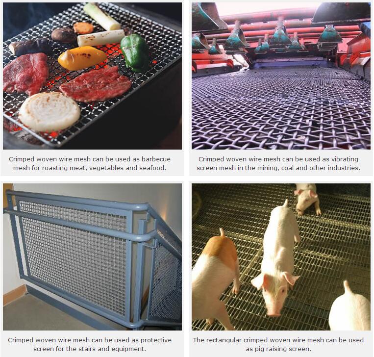 China Type 304 Stainless Steel Crimped Wire Mesh (SSCWM)