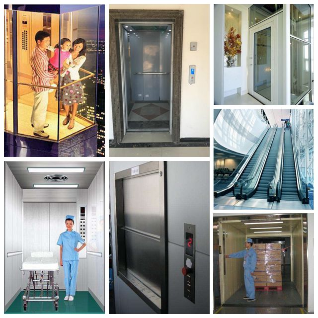 3 Persons Loading Villa Passenger Elevator, Home Lift for Wheelchair