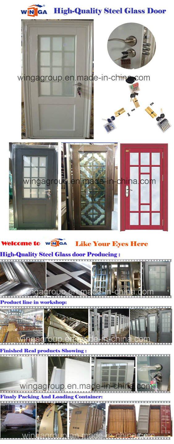 Glass Villa House Security Entrance Steel Glass Door (W-GD-38)
