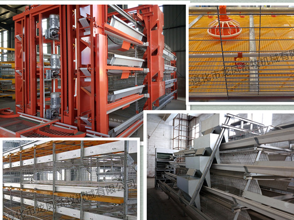High Quality Galvanized Automatic Layer Cage Certificate ISO9001