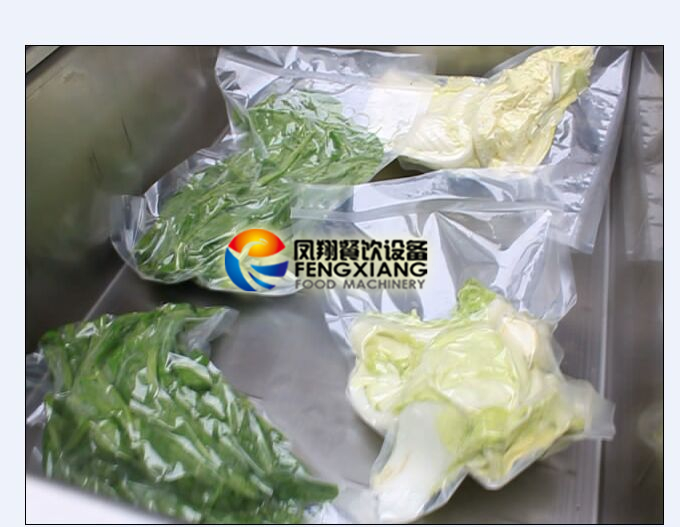 Dz-600 Vacuum Packaging Machine for Food (Vegetable, Sausage, Meat, Bacon Cheese, Tea, Rice etc)