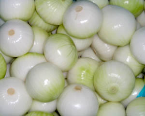 Competitive Quality Fresh Yellow Onions (5-8cm)