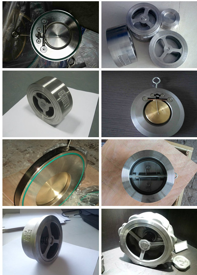 DIN Stainless Steel Wafer Check Valve with CF8 for Industry