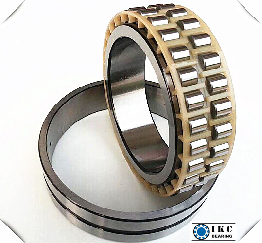 SKF Nn3008 Double Row Cylindrical Roller Bearing Nn3010, Nn3012, Nn3006, Nn3014, Nn3016