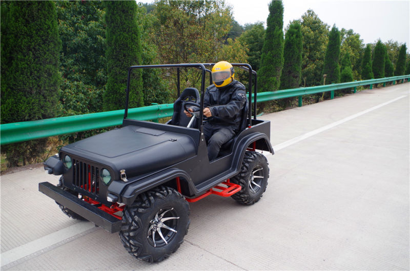 2016 The Most Popular Ce Approved Mini Jeep for Sale