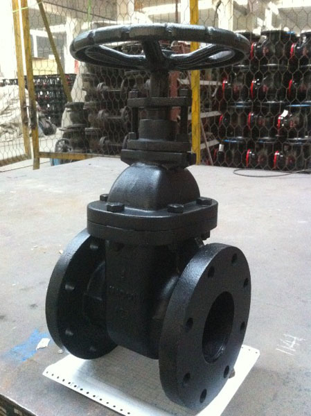 Forged Steel Gate Valve Pn16