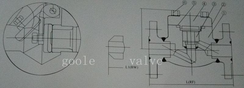 Forged Steel Flange Piston Check Valve (GAH41H)