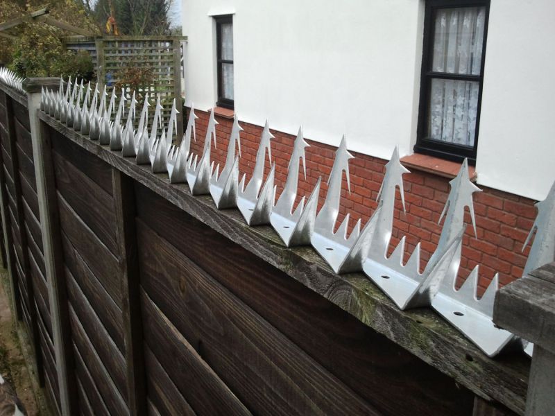 Galvanized Razor Wall Spike /Security Wall Spike for Protecting
