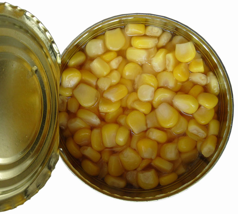 425g Canned Golden Sweet Kernel Corn with Best Quality