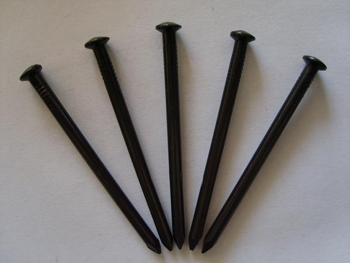 Galvanized Screw Nail Black Concrete Nails From China