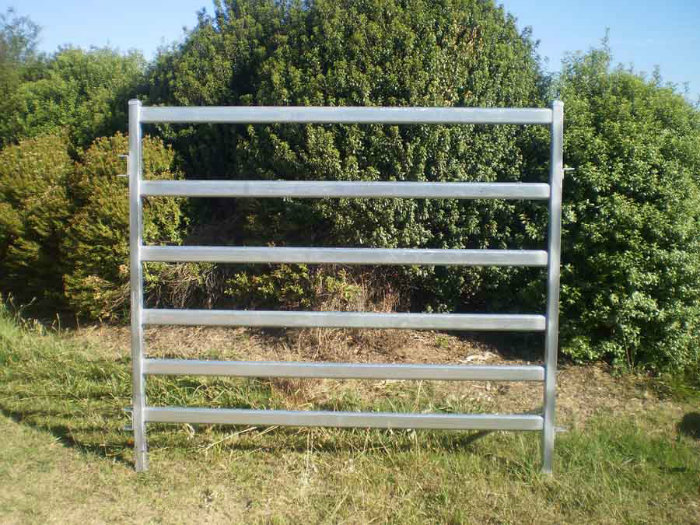 Australia Market Glavanized Oval Cattle Panels for Sale