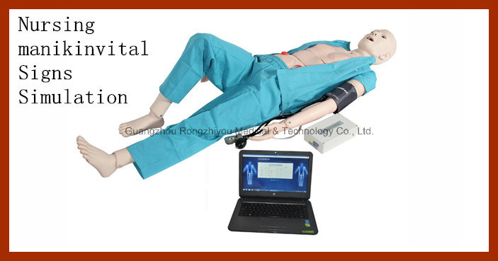 High Quality Multifunction CPR Medical Training Nursing Manikin-Vital Signs Simulation