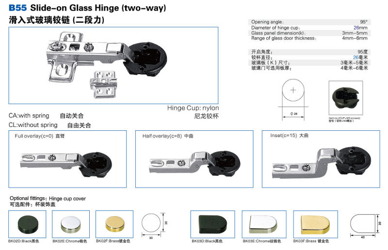 Concealed Hinge Slide-on Glass Hinge (two way) (B55)