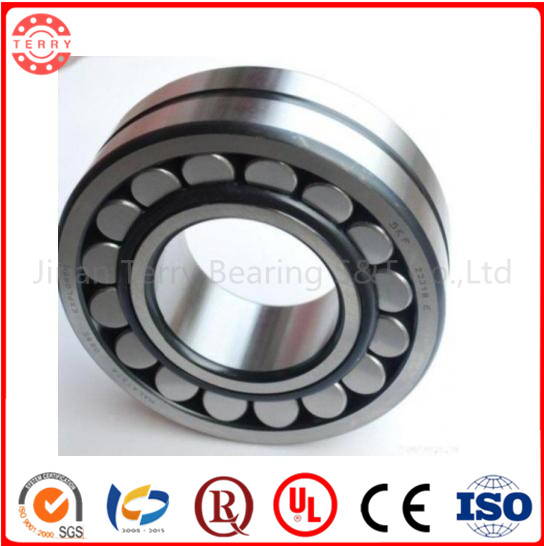 The Low Noice Cylindrical Roller Bearing (NF206E)