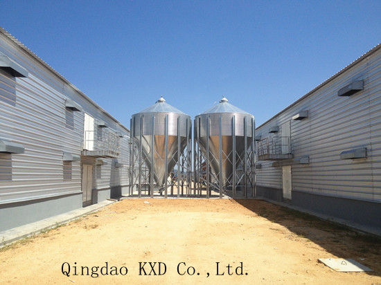 Closed Layer Chicken House /Poultry Shed (KXD-SSB64)