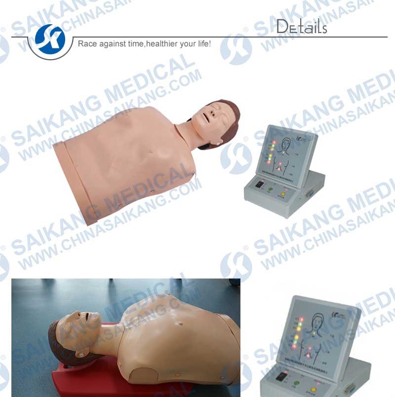 New Half Body CPR Training Manikin for Study Use