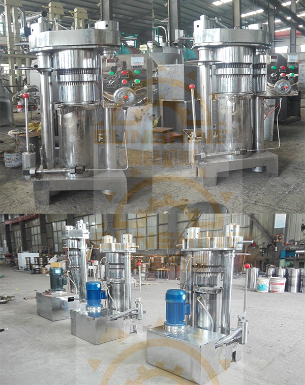 Peanut Animal Fat Almond Cold Press Oil Extraction Machine