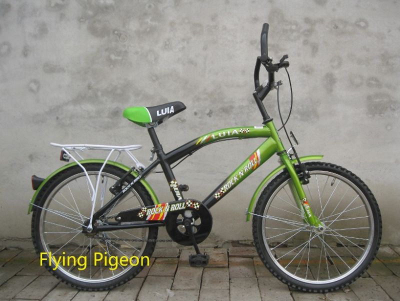 2014 New Child Beach Bike Mountain Bicycle (FP-KDB050)