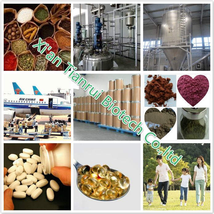 Chinese Arborvilea Seed Extract/Seman Platycladi Seed Extract