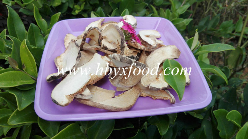 Dried Flower Shiitake Mushroom Slices with Nice Packing