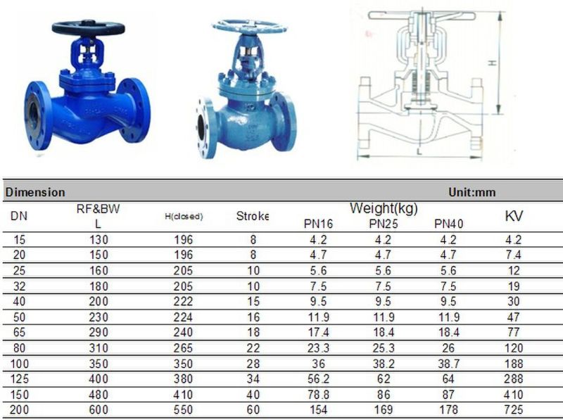 Cast Iron Bellow Seal Globe Valve