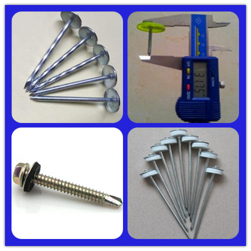 Stainless Steel Roofing Nails with Plastic Washer