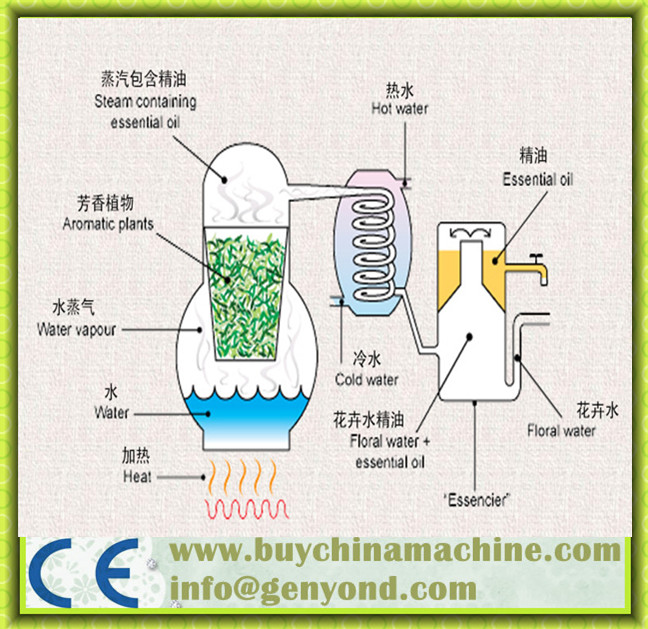 Stainless Steel Essential Oil Extraction Equipment