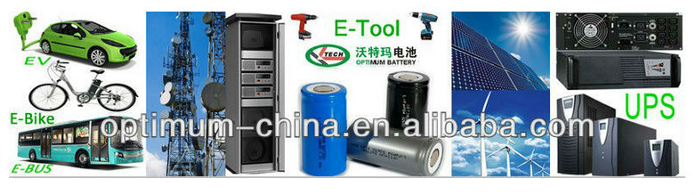 Lithium 48V 300ah Car Battery with BMS