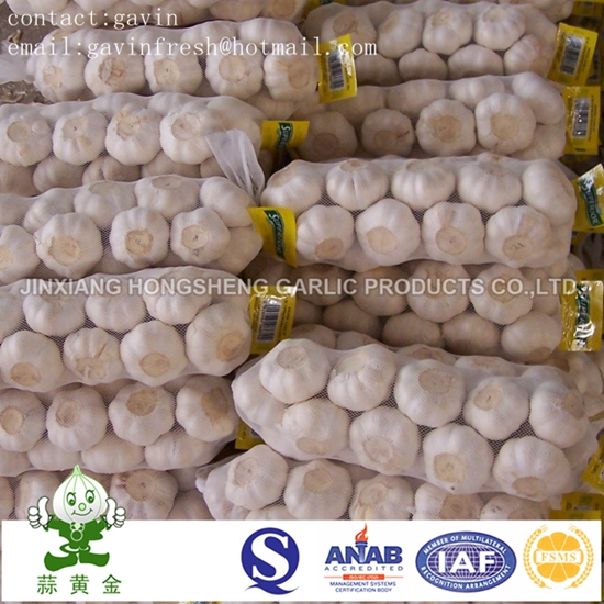 Pure White Garlic 5.0cm Size 500gram Small Packing