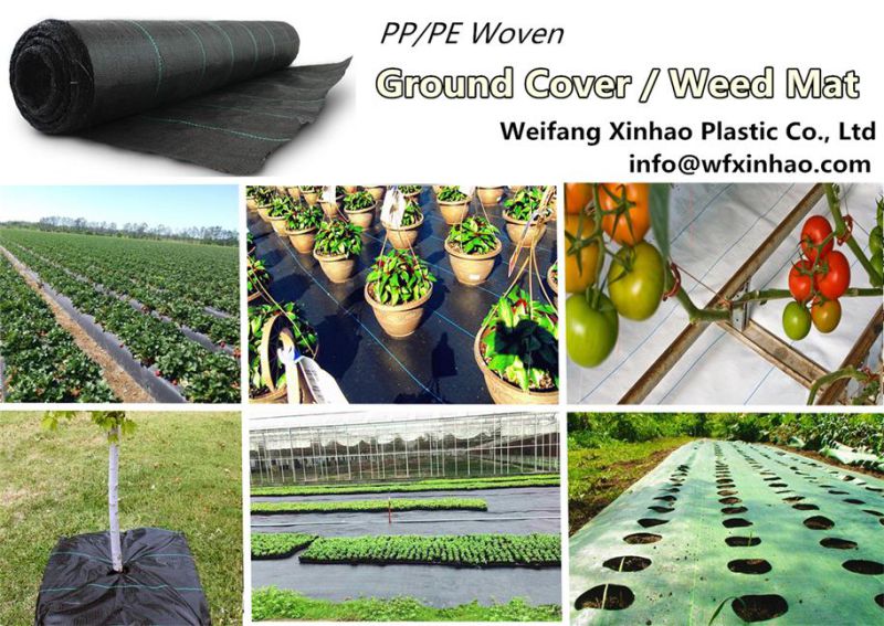 PP Woven Weedmat with 70-180GSM From Factory