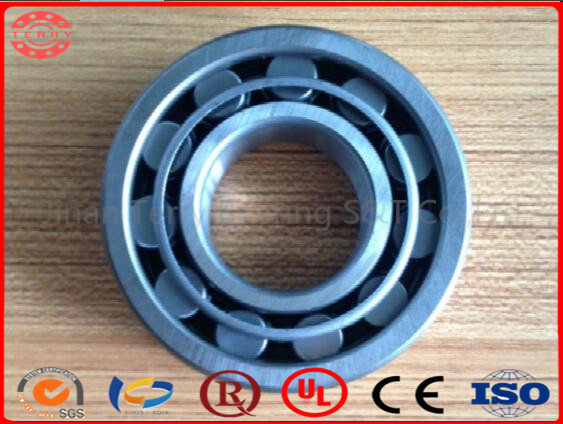 The Low Noice Cylindrical Roller Bearing (NU304E)