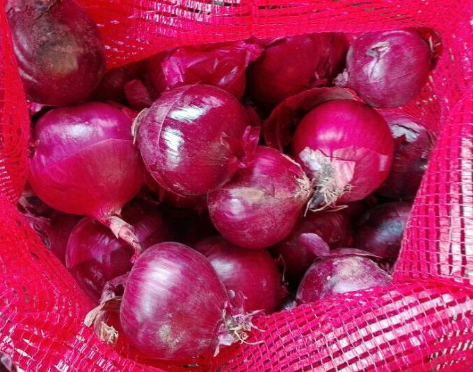 2016 New Crop Fresh Red Onion with High Quality