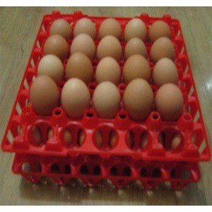 Plastic Egg Tray Machine 250ton