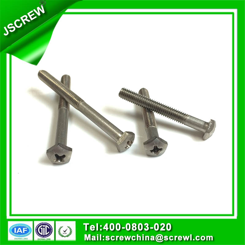 Screw Manufacture Produce Custom Design Special Screw Bolt