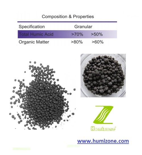 Organic Fertilizer: Humizone Humic Acid 70% Granular (HA70-G)