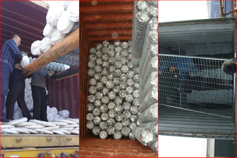 Galvanized Iron Crimped Wire Mesh and Welded Wire Mesh and Steel Crimped Wire Mesh