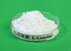 Amino Acid L-Leucine for Food & Feed Additive