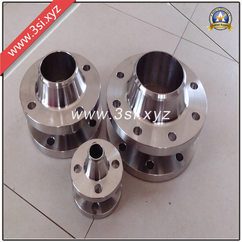 Hot Sale Quality Forged Stainless Steel Welding Neck Flange (YZF-E359)