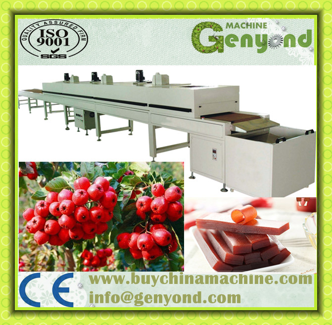 Fruit Leather/Fruit Bar Production Line