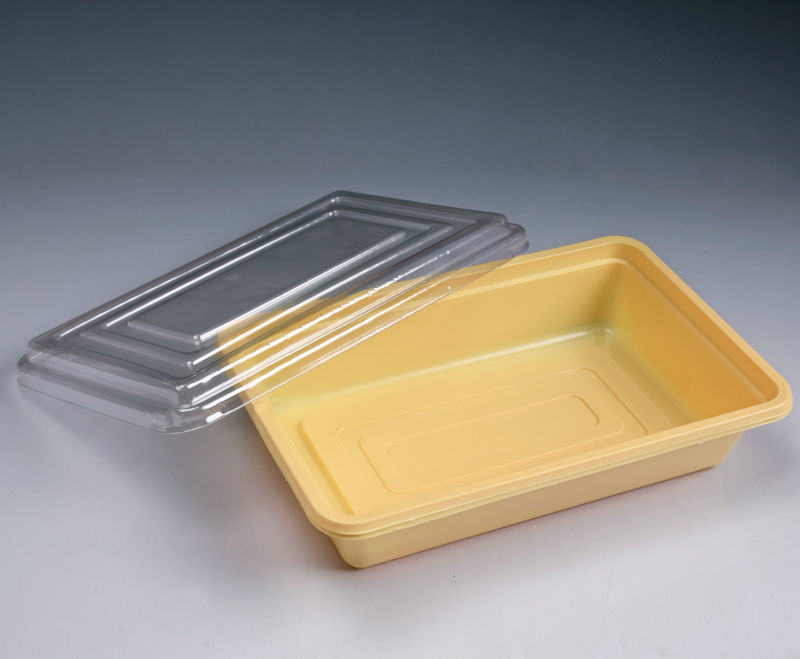 Disposable Plastic Take Away Lunch Box