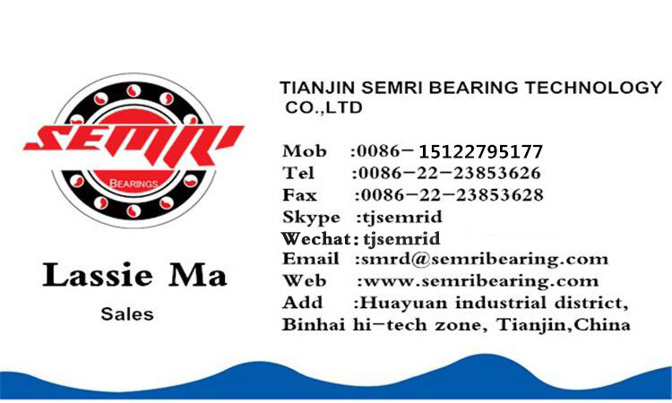 Nc Machine Tool Bearing (LBE30A) Precision Bearing in China