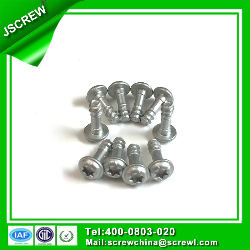 Special Pen Head Torx Head Tapping Screw for Matal