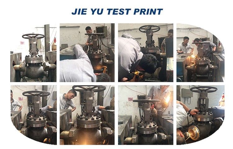 Casting Steel Wcb/Lcb/Lcc/CF8  Industrial Control Globe Valve