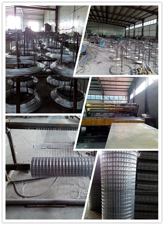 Construction Material Galvanized Welded Wire Mesh (XA-421)